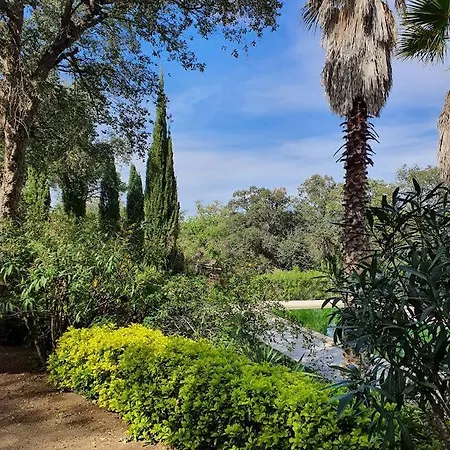 Apartamento Mas Mundo - 4 Ferienhaeuser In Calonge / *