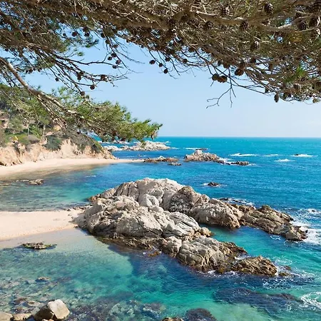 Mas Mundo - 4 Ferienhaeuser In Calonge / Appartement Gerona