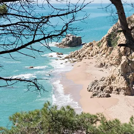 Mas Mundo - 4 In Calonge / *