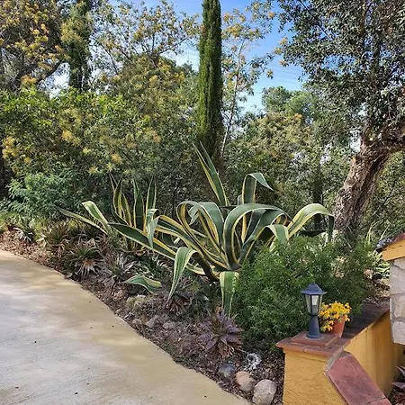 Апартаменты Mas Mundo - 4 Ferienhaeuser In Calonge /