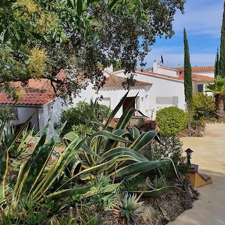 Appartement Mas Mundo - 4 Ferienhaeuser In Calonge / Gerona