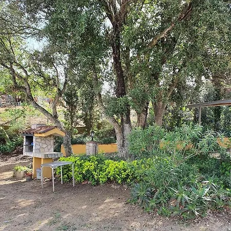 Mas Mundo - 4 Ferienhaeuser In Calonge / Apartament *