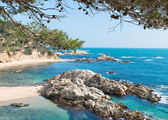 Mas Mundo - 4 Ferienhaeuser In Calonge / דירה ז'ירונה