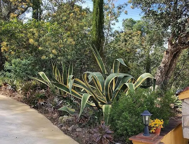 דירה Mas Mundo - 4 Ferienhaeuser In Calonge /