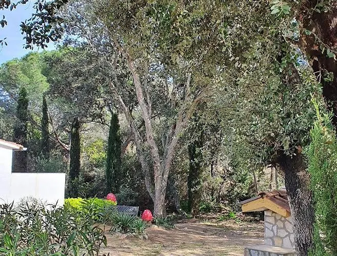 Mas Mundo - 4 Ferienhaeuser In Calonge / דירה ז'ירונה