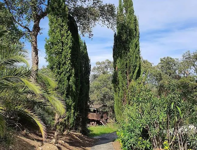 Mas Mundo - 4 Ferienhaeuser In Calonge / ז'ירונה