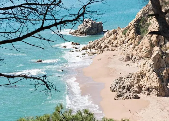 Mas Mundo - 4 Ferienhaeuser In Calonge / *