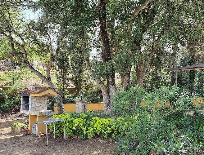 Mas Mundo - 4 Ferienhaeuser In Calonge / Lejlighed *